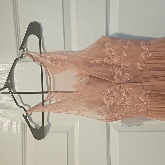 Celebrate Studios Pale Pink Dress (0) - Picture 6 of 11